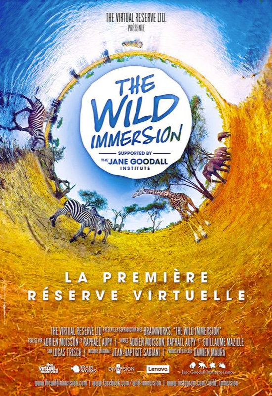 THE WILD IMMERSION