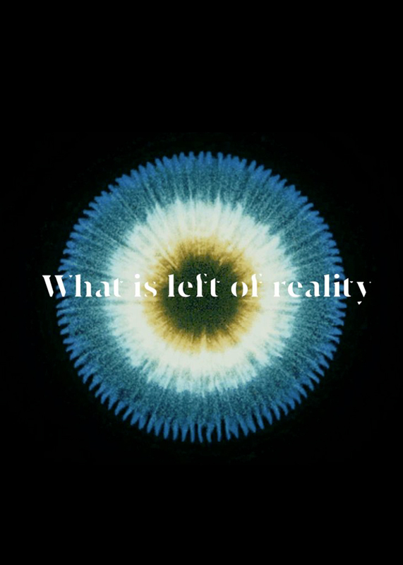 WHAT IS LEFT OF REALITY?