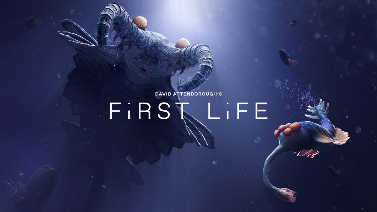FIRST LIFE is a new chapter of Sir David Attenborough’s work in VR