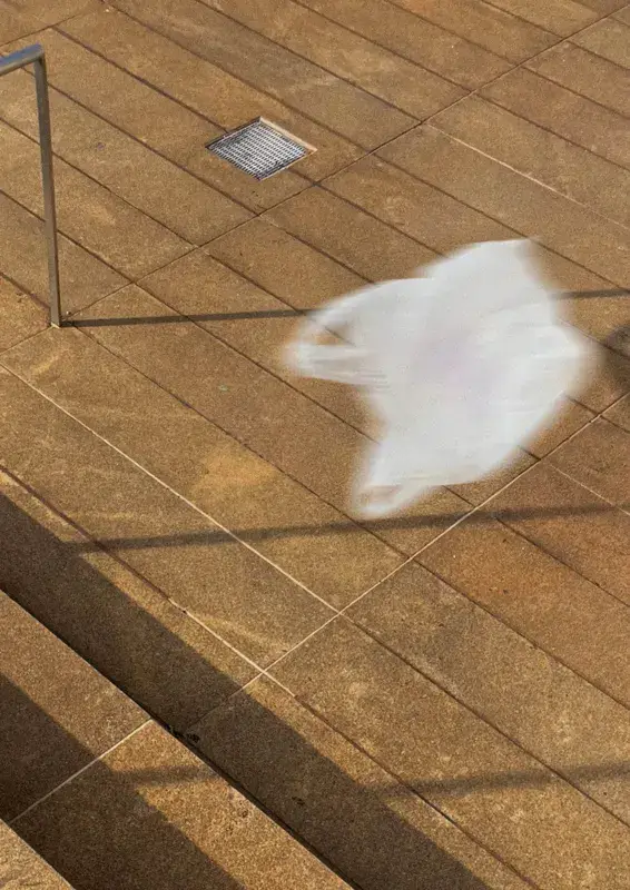 Nothing to see here